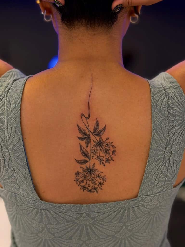 Alex 26